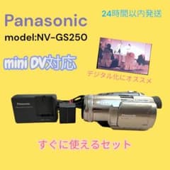 Panasonic NV-GS250 mini DV ビデオカメラ - メルカリ