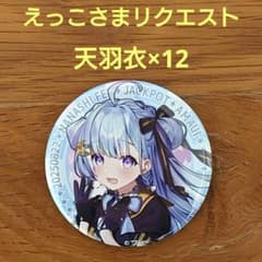 えっこさま】ななしふぇす2025 JACKPOT 天羽衣 缶バッジ×12 - メルカリ