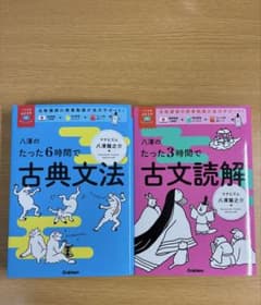 新品]矢澤の古文 2冊目セット - メルカリ
