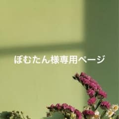ぼむたん様専用ページのサムネイル