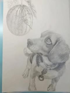 鉛筆画 犬とスイカのデッサンのサムネイル