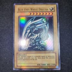 m69087417174_1.jpg?1775571999