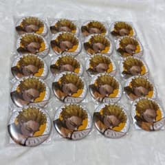 ジャンプGIGA ヒロアカ 新十傑 缶バッジ ホークス20個 - メルカリ