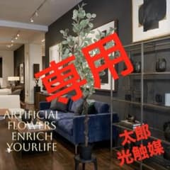 光触媒 人工観葉植物 ウォールグリーンフェイクグリーン ユーカリ13070 