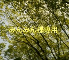 [ みんみん様専用 ]　ハンドメイド 手編み かぼちゃ 帽子３個セットのサムネイル