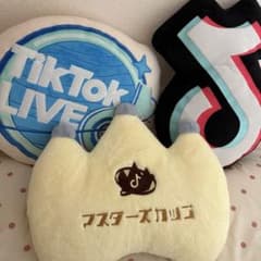 TikTok クッションセットのサムネイル