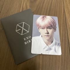 EXO BIRD ベッキョン ファンクラブ限定 トレカのサムネイル