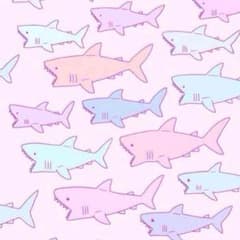 取り置きのサムネイル