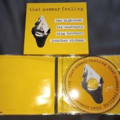 ザ・ハイロウズ DVD「that summer feeling」 - メルカリ
