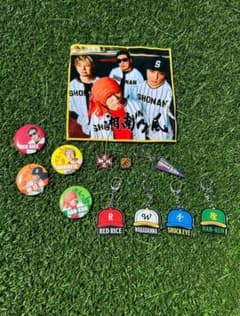 湘南乃風　熱唱甲子園のサムネイル
