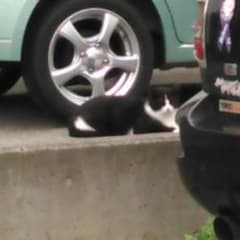 あのサムネイル