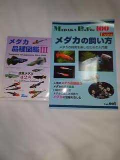 メダカの飼い方と品種図鑑のサムネイル