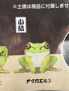 ガチャ 蛙力士　小結　アマガエルのサムネイル