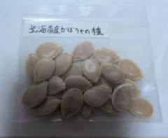北海道産 かぼちゃの種 約23粒のサムネイル