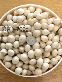 銀杏　700gのサムネイル