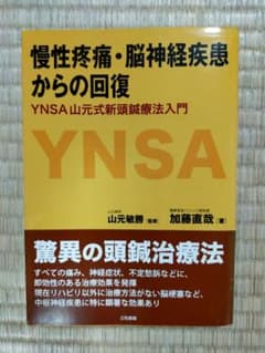 慢性疼痛・脳神経疾患からの回復 : YNSA山元式新頭鍼療法入門のサムネイル