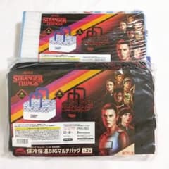 STRANGER THINGS 保冷保温BIGマルチバッグ 保冷 バッグ