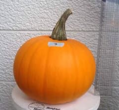 Roos様専用！ハロウィンかぼちゃ  No.3、No.4のサムネイル