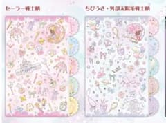 Pretty Guardian Sailor Moon Crystal Clear File Set (2 files)