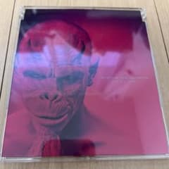 DIR EN GREY SUSTAIN THE UNTRUTH CDのサムネイル