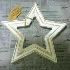 WTW 正規品 スターリベット 星形鍋敷 ダブルティーのサムネイル
