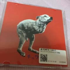 キュウソネコカミ 赤盤のサムネイル
