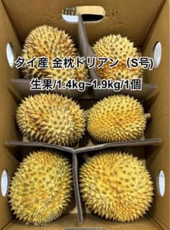 送料無料 タイ産 ドリアン 1.4~1.9kg S号 金枕 生ドリアン 新鮮果物