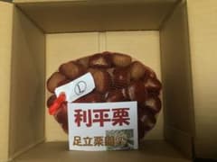 利平栗　氷温貯蔵　L ２kgのサムネイル