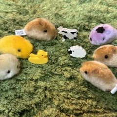 クリスマスに！遊んで♪カピバラさん6匹のサムネイル