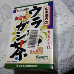 ウラジロガシ茶のサムネイル