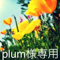 plum様専用のサムネイル
