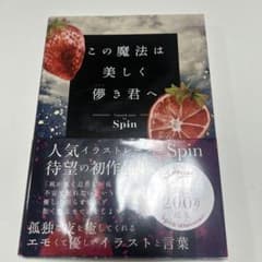 この魔法は美しく僕き君へ Spin イラスト集のサムネイル