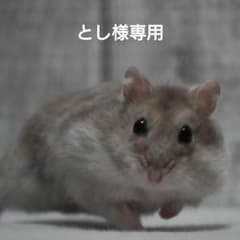 とし様専用のサムネイル