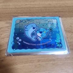 いるかっちえのすいコラボアクリルカードのサムネイル