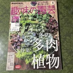 趣味の園芸　冬の多肉植物 2023年1月号のサムネイル