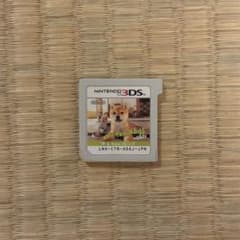 nintendogs + cats 柴のサムネイル