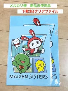 마이젠 시스터즈 밑바닥 & 클리어 파일 블루 신품 이온
