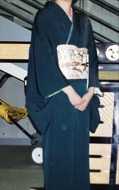 山本寛斎 ビリヤードグリーン 着物 長襦袢 - メルカリ