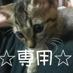 【フロー・様 専用】のサムネイル