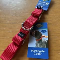 PetSafe マーチンゲール首輪 S レッド　新品未使用品のサムネイル