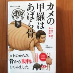 カメの甲羅はあばら骨 人体で表す動物図鑑のサムネイル