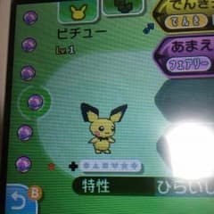 アローラピチュー 夢理想のサムネイル