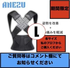 【これで姿勢スッキリ】アネズ 姿勢デバイス 猫背矯正ベルトのサムネイル