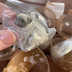 【スズッチ様専用】ふんばりーぬ2（パグ）2体のサムネイル