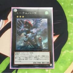 【値下げ】 トーテムバード シークレットのサムネイル