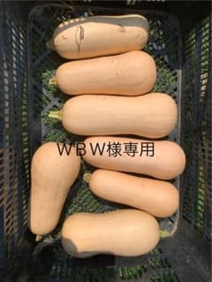 バターナッツのサムネイル