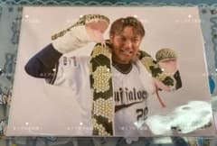 オリックスバファローズ 選手フォト 阿部翔太 干支ver.のサムネイル