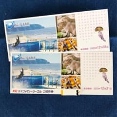 新江ノ島水族館 招待券 2枚のサムネイル