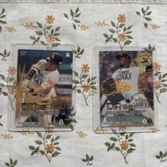プロ野球ファンスターズリーグブースターパック VoL.1 柳田悠岐SSRモイネロのサムネイル