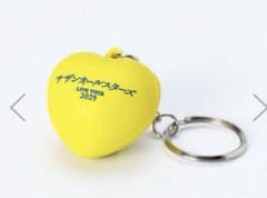 新品未開封】サザンオールスターズ 2025 キーホルダー ライブ
